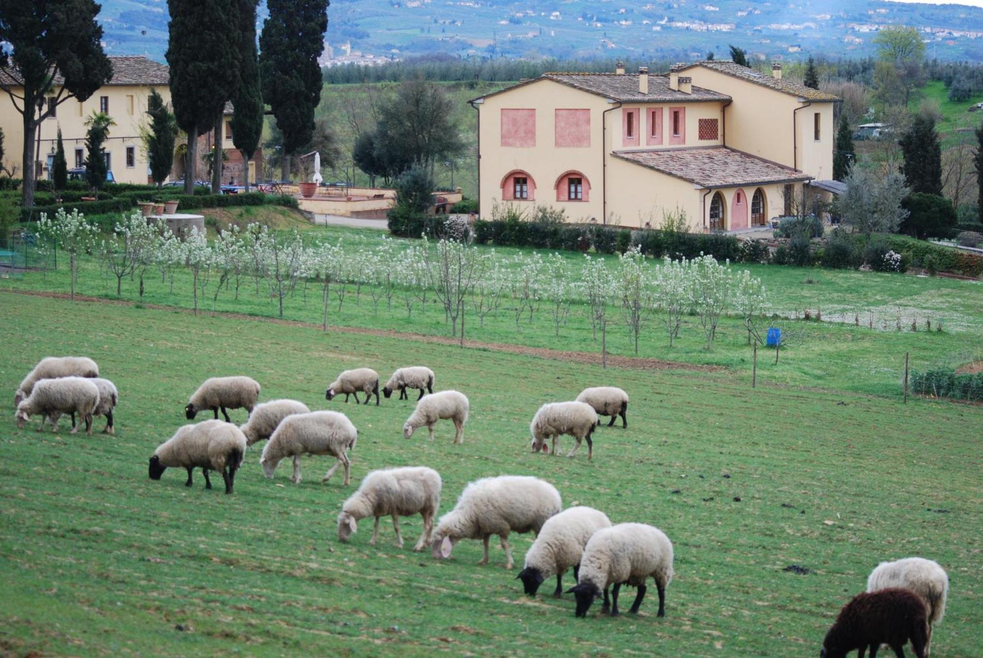 Agriturismo Fattoria Rozzalupi Cerreto Guidi Eksteriør bilde