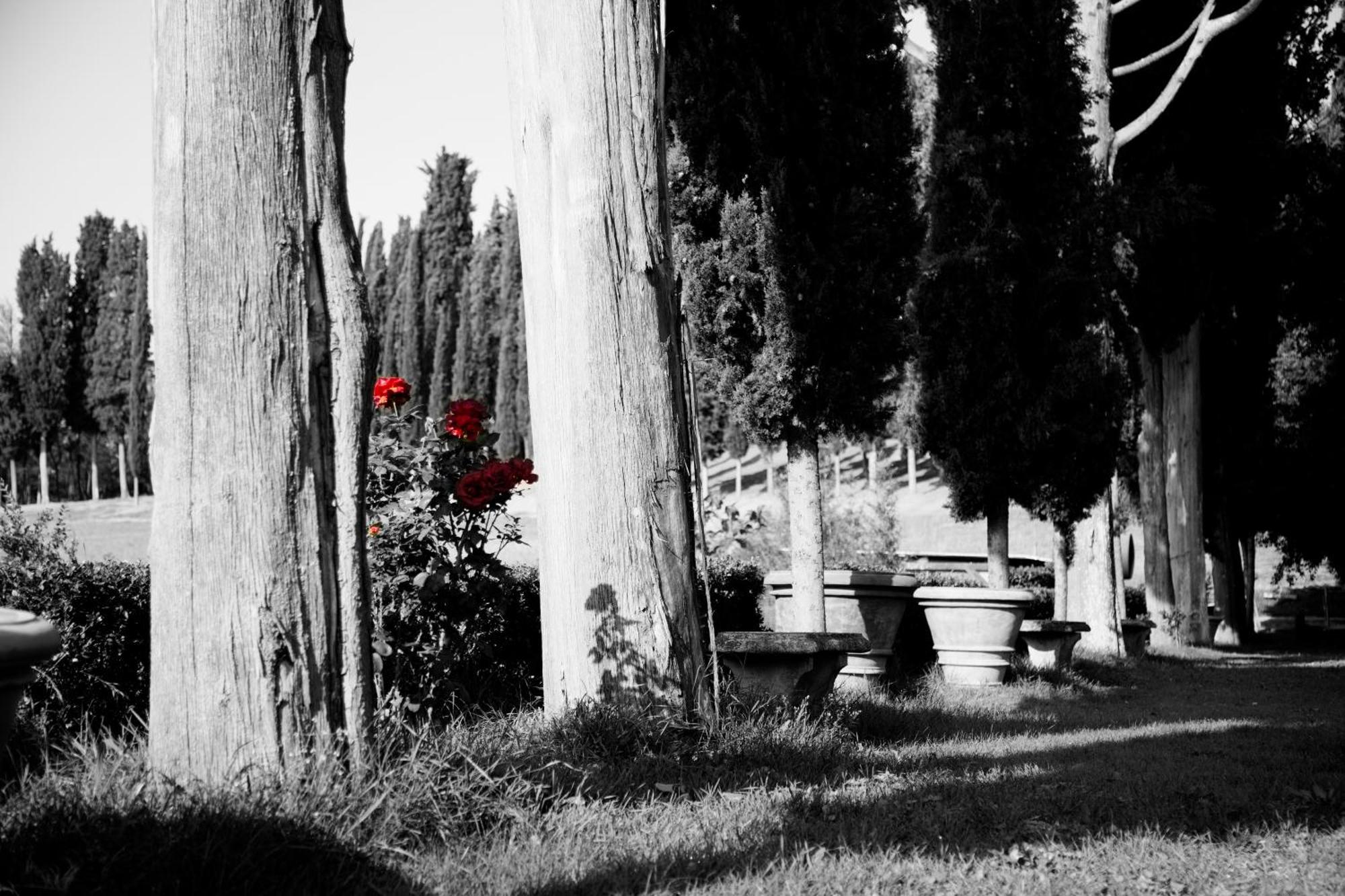 Agriturismo Fattoria Rozzalupi Cerreto Guidi Eksteriør bilde