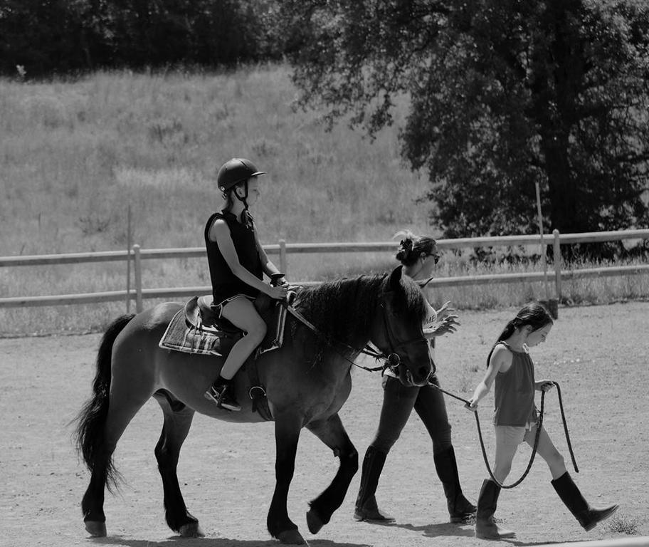 Agriturismo Fattoria Rozzalupi Cerreto Guidi Eksteriør bilde