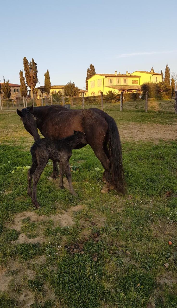 Agriturismo Fattoria Rozzalupi Cerreto Guidi Eksteriør bilde